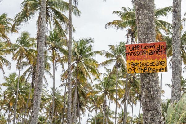 Actualité climatique : enjeux et solutions